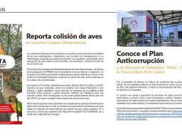 Enlace reporte de colisión de aves